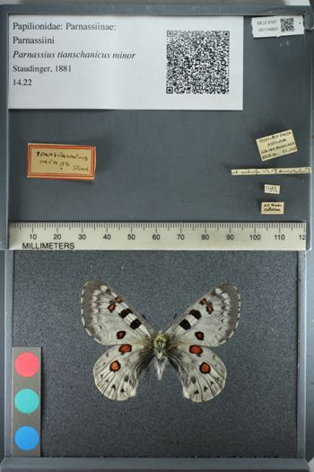Media type: image;   Entomology 174863